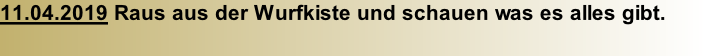 11.04.2019 Raus aus der Wurfkiste und schauen was es alles gibt.