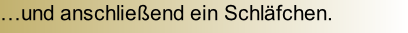 …und anschließend ein Schläfchen.