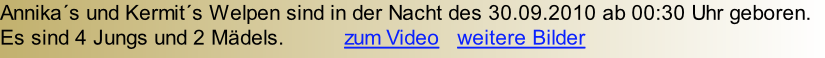 Annika´s und Kermit´s Welpen sind in der Nacht des 30.09.2010 ab 00:30 Uhr geboren. Es sind 4 Jungs und 2 Mädels.          zum Video   weitere Bilder