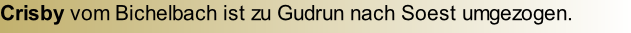 Crisby vom Bichelbach ist zu Gudrun nach Soest umgezogen.
