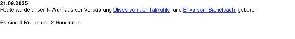 21.09.2025  Heute wurde unser I- Wurf aus der Verpaarung Ulises von der Talmühle  und Enya vom Bichelbach  geboren.  Es sind 4 Rüden und 2 Hündinnen.