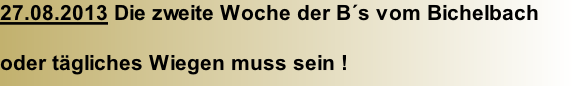 27.08.2013 Die zweite Woche der B´s vom Bichelbach  oder tägliches Wiegen muss sein !