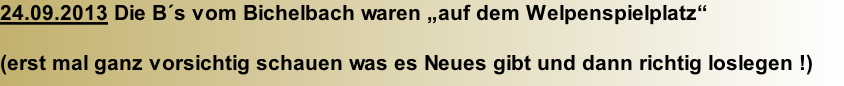 24.09.2013 Die B´s vom Bichelbach waren „auf dem Welpenspielplatz“  (erst mal ganz vorsichtig schauen was es Neues gibt und dann richtig loslegen !)