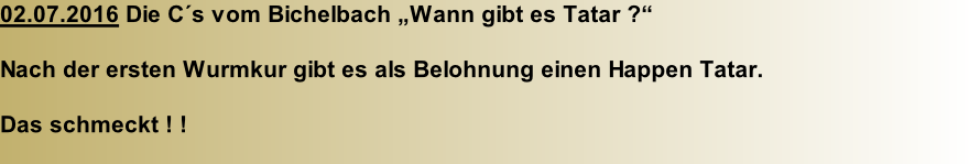 02.07.2016 Die C´s vom Bichelbach „Wann gibt es Tatar ?“  Nach der ersten Wurmkur gibt es als Belohnung einen Happen Tatar.  Das schmeckt ! !