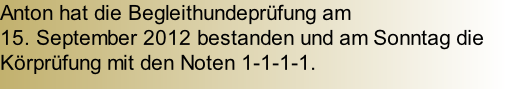 Anton hat die Begleithundeprüfung am  15. September 2012 bestanden und am Sonntag die Körprüfung mit den Noten 1-1-1-1.