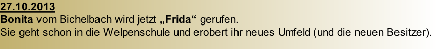 27.10.2013 Bonita vom Bichelbach wird jetzt „Frida“ gerufen.  Sie geht schon in die Welpenschule und erobert ihr neues Umfeld (und die neuen Besitzer).