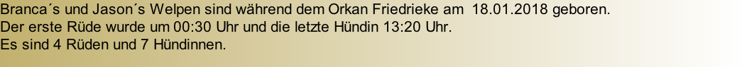 Branca´s und Jason´s Welpen sind während dem Orkan Friedrieke am  18.01.2018 geboren. Der erste Rüde wurde um 00:30 Uhr und die letzte Hündin 13:20 Uhr.   Es sind 4 Rüden und 7 Hündinnen.