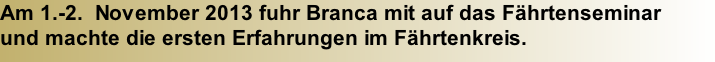 Am 1.-2.  November 2013 fuhr Branca mit auf das Fährtenseminar  und machte die ersten Erfahrungen im Fährtenkreis.