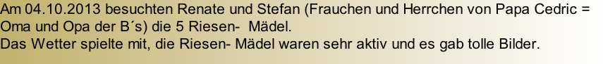 Am 04.10.2013 besuchten Renate und Stefan (Frauchen und Herrchen von Papa Cedric = Oma und Opa der B´s) die 5 Riesen-  Mädel.  Das Wetter spielte mit, die Riesen- Mädel waren sehr aktiv und es gab tolle Bilder.