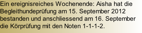 Ein ereignisreiches Wochenende: Aisha hat die Begleithundeprüfung am 15. September 2012 bestanden und anschliessend am 16. September die Körprüfung mit den Noten 1-1-1-2.