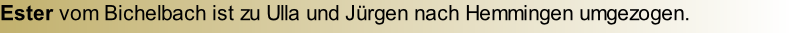 Ester vom Bichelbach ist zu Ulla und Jürgen nach Hemmingen umgezogen.